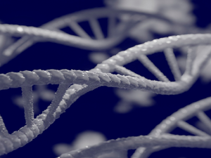 Los efectos de un fármaco contra el párkinson se ven alterados por variantes genéticas