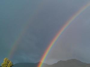 Psicología del color: la ciencia que estudia la percepción de las tonalidades