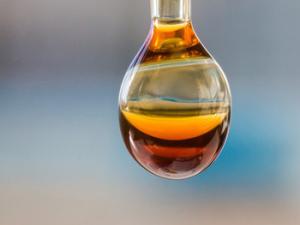 muestra de aceite de las rocas sedimentarias antiguas estudiadas. / Stuart Hay (ANU) 