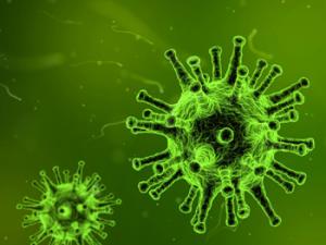 Ilustración de bacterias. / qimono (PIXABAY)