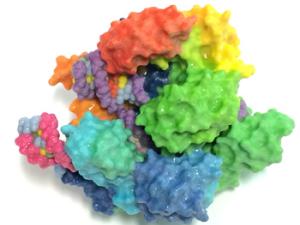 Impresión 3D de la enzima Cas9 de CRISPR, especializada en cortar ADN. / NIH Image Gallery (FLICKR)