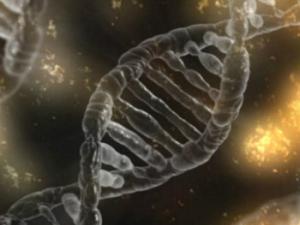 Estos bisturís moleculares son idóneos para detectar ácidos nucleicos. / typographyimages (PIXABAY)