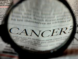 Un equipo del Centro Nacional de Investigaciones Cardiovasculares de Madrid ha identificado una función de una proteasa que puede ser una diana farmacológica. /  PDPics (PIXABAY)