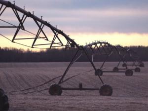 Inteligencia artificial para ahorrar agua en los regadíos. / Free-Photos (PIXABAY)