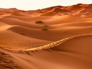 Rastrean con móviles las migraciones debidas al cambio climático. / jpeter2 (PIXABAY)