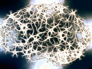 Las neuronas, que sufren oxidación como resultado natural del envejecimiento, tienen mecanismos de resistencia que les permiten sobrevivir y continuar funcionando a lo largo de la vida de una persona. / geralt (PIXABAY)