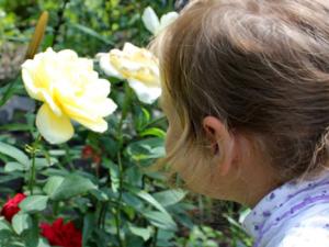 El sentido del olfato humano es tan bueno como el de los animales