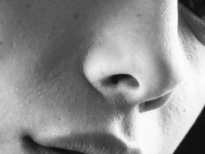 La causa más frecuente es por complicaciones tras la cirugía nasal, pero también puede deberse a traumatismos, infecciones, inflamaciones, tumores, radioterapia, así como a la inhalación de sustancias tóxicas. / Engin_Akyurt (PIXABAY)