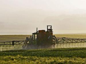 Consiguen paliar el daño celular producido por el pesticida DDT. / hpgruesen (PIXABAY)