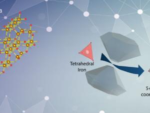  Representación de como cambia el número de oxígenos que rodean a uno de los hierros con la presión. / ICMAB