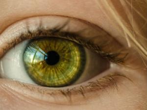 El microdispositivo está formado por varios compartimentos paralelos, en los cuales se han cultivado diferentes tipos de células para emular la estructura de capas celulares de la retina. / Skitterphoto (PIXABAY)