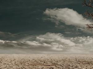 La erosión de la biodiversidad cuesta billones de euros. / _Marion (PIXABAY)