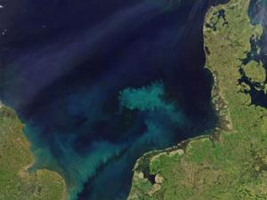  Un nuevo estudio del MIT encuentra que en las próximas décadas el cambio climático afectará el color del océano, intensificando sus regiones azules y verdes. / NASA Earth Observatory