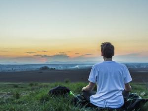 Identificadas las bases cerebrales de las emociones. / brenkee (PIXABAY)