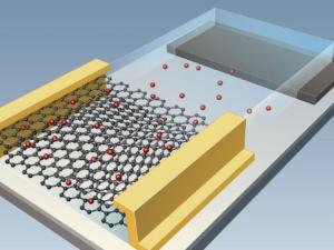 Los ingenieros de Pitt construyeron una sinapsis artificial basada en grafeno en una configuración bidimensional de nido de abeja de átomos de carbono que demostraron una excelente eficiencia energética comparable a las sinapsis biológicas. / Universidad de Pittsburgh