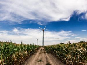 Qué puede hacer la tecnología para mejorar el campo