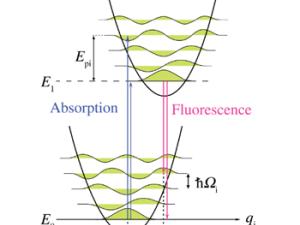 Diagrama de nivel de energía para transiciones entre niveles electrónicos con o sin fonones. /  Mark Somoza (WIKIMEDIA COMMONS)