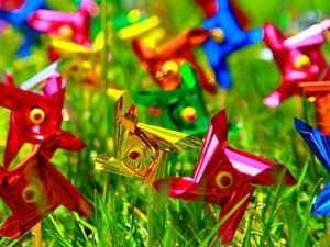 Pink Sherbet Photography (WIKIMEDIA COMMONS)