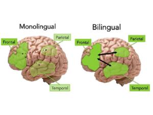 Hablar una segunda lengua nos hace más prácticos y menos éticos