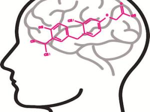 Posible tratamiento para una grave enfermedad rara. / CSIC-UAM