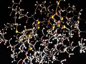 Molécula de una proteina. / Flesh for Blood (FLICKR)