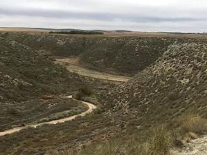 Estudiarán el impacto del cambio climático en la salud de los suelos áridos del planeta