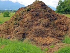 Montón de estiércol, compost. / Antranias. (PIXABAY)