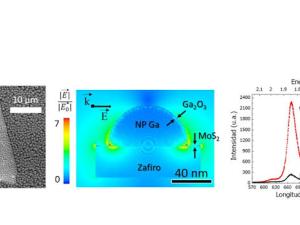 Medidas y simulaciones del híbrido formado con MoS2 y nanopartículas de Ga. (a) Imagen de microscopía electrónica de un copo de MoS2 cubierto con nanopartículas. (b) Simulación del campo eléctrico en un sistema zafiro/MoS2/nanopartícula de Ga (c) Espectro de fotoluminiscencia en un mismo copo. /UAM