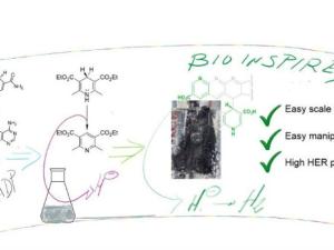 Funcionamiento del material obtenido comparado con sistemas naturales o sintéticos con fragmentos moleculares parecidos. / UAM