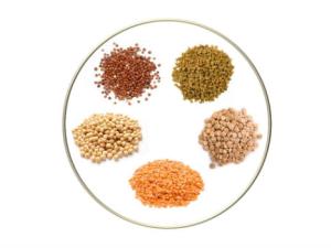 Las saponinas como compuestos bioactivos: nuevos avances en su comportamiento digestivo