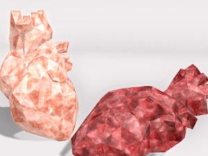 Representación de dos corazones en cristal. / Allegory Malaprop (UAM)