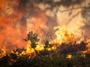 Este equipo de expertos persigue posicionar la nariz electrónica como una herramienta de trabajo adicional en el ámbito de la química forense. / skeeze