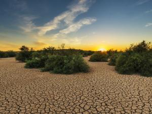 Detectan que un cambio repentino en la estratosfera en febrero de 2018 jugó un papel clave en el final de la mayor sequía europea de los últimos 50 años