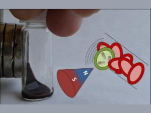 Representación de la nanoestructura con propiedades magneto-plasmónica. / Jesús Ovejero. 