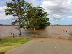 Riada. / bohemianbikini (PIXABAY)