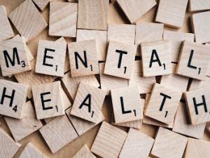 Su trabajo ha demostrado que este colectivo muestra índices muy altos de ansiedad y depresión. /  Wokandapix (PIXABAY)