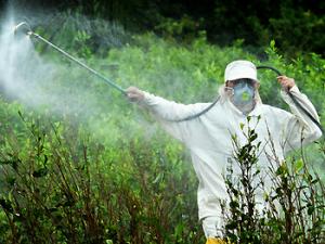 Un estudio relaciona la exposición a compuestos químicos con el riesgo de síndrome metabólico
