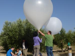 El equipo de trabajo toma datos en la Vega de Granada. / UGR