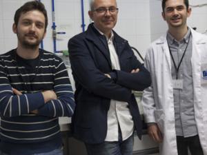 La UJI, la UPV-EHU y CIC bioGUNE patentan un método in vitro para predecir la biocompatibilidad de los materiales para implantes