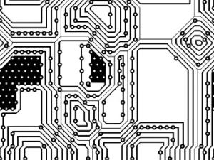 La Computación Evolutiva es una familia de algoritmos que imita los mecanismos de la evolución biológica. / GDJ (PIXABAY)