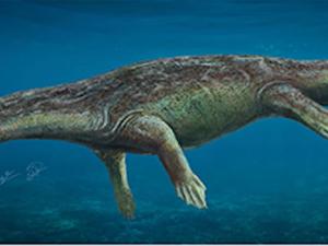 Recreación del aspecto en vida de un individuo de 'Paludidraco' . / Eloy Manzanero y Natalia Pérez