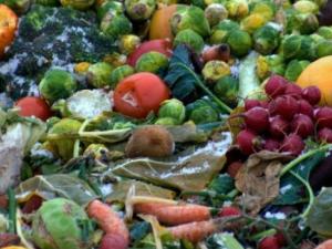 ¿Cuánta agua derrochamos con la comida que tiramos? / (PXHERE)