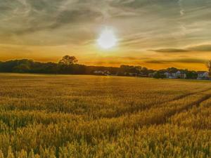 ¿Podremos alimentarnos en 2050 sin destruir el planeta?