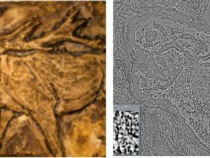 Molde de ensayo y detalle del procesado / Aroa Gutiérrez Alonso