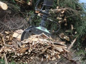 Metodología para planificar la ubicación idónea de plantas de biomasa. / (PXHERE)