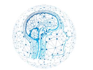 Sistema de detección de patrones neuro-inspirado