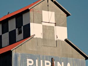 Purina. / Janeen Hutchins