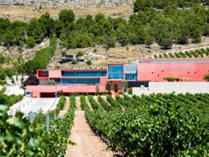 Viñedo y bodega donde se ha realizado el estudio. / Pago de Carraovejas