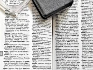 Este nuevo método que proponen los investigadores de la UPV/EHU supone un gran avance en el campo de la traducción automática. / monika1607 (PIXABAY)