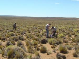 La biodiversidad es fundamental para la estabilidad de los ecosistemas